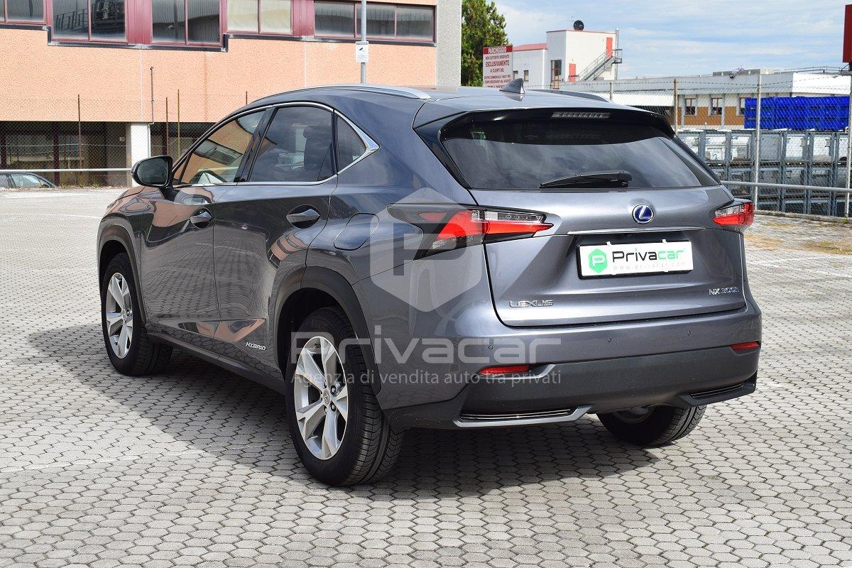 LEXUS NX Hybrid 4WD Luxury