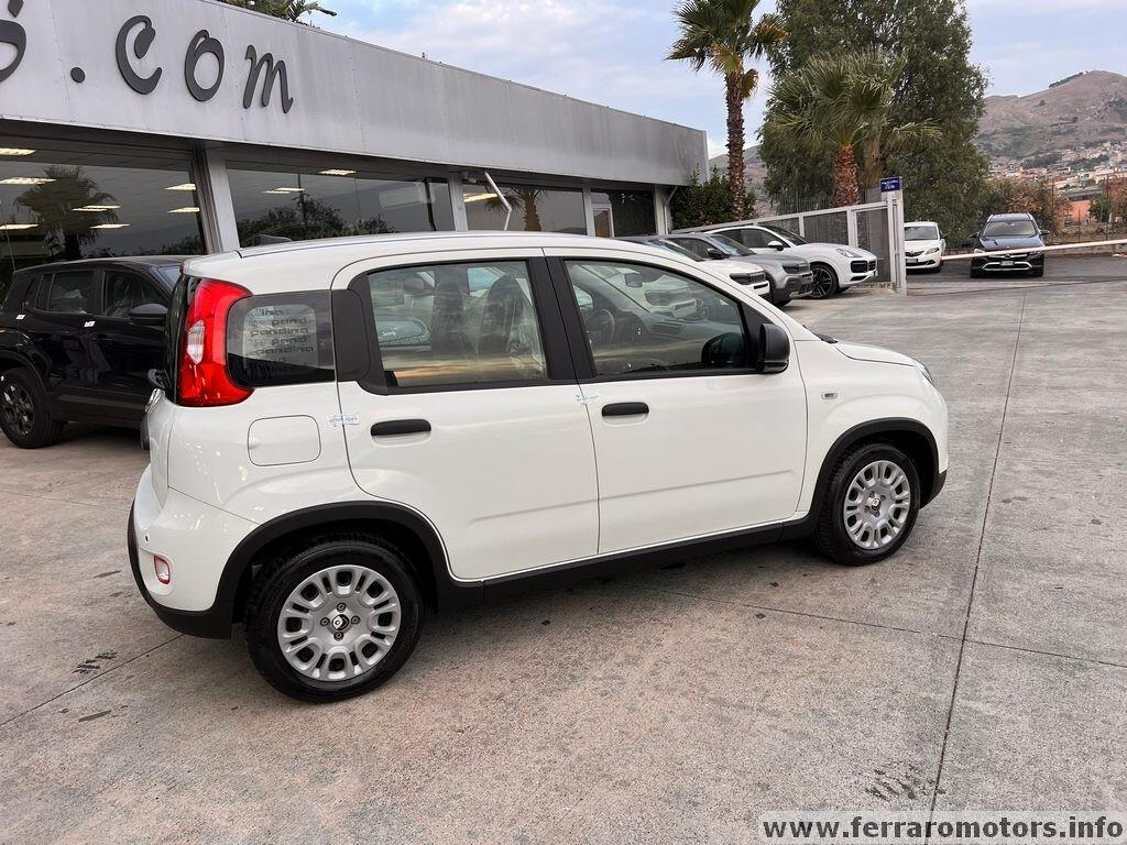 Fiat Panda 1.0 FireFly S&S Hybrid Pandina