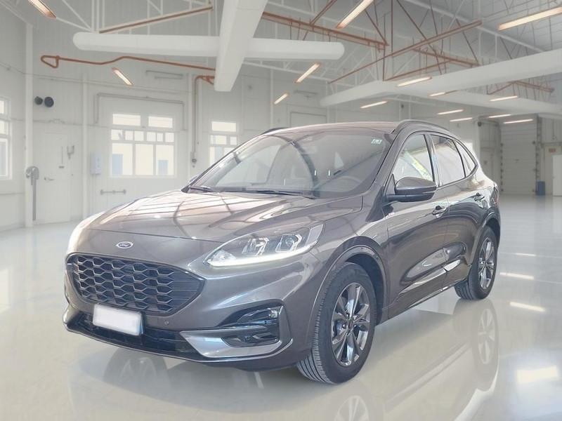 FORD KUGA 2.0 EcoBlue 120CV 2WD ST-Line Business Auto