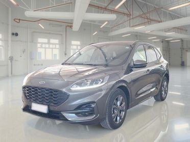 FORD KUGA 2.0 EcoBlue 120CV 2WD ST-Line Business Auto