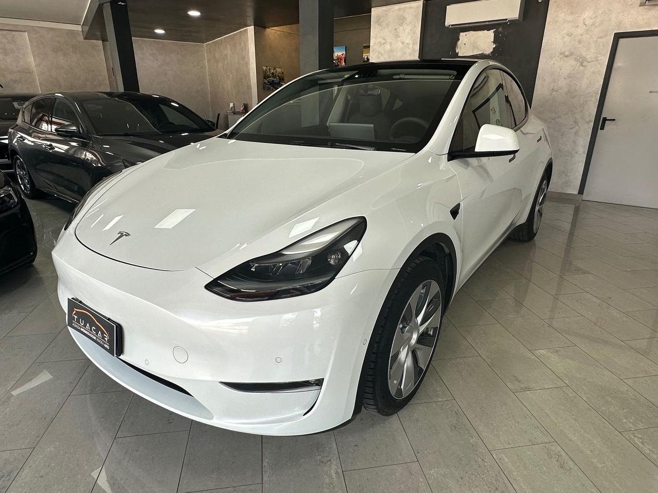 Tesla Model Y Long Range Dual Motor AWD #6076