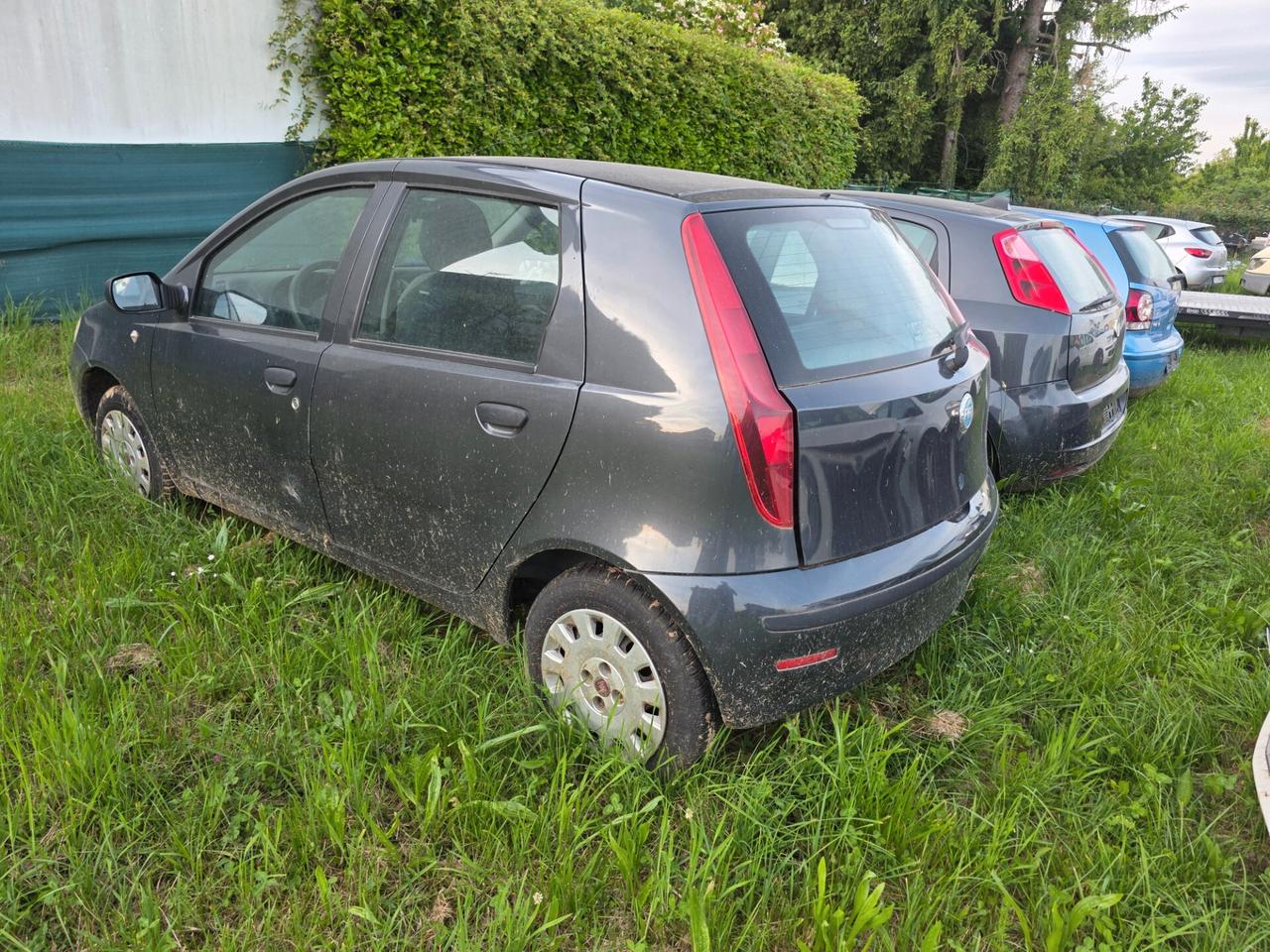 Fiat Punto Evo 1.3 Mjt 75 CV 5 porte Active
