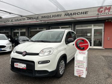 Fiat Panda 1.0 firefly hybrid s&s 70cv 5p.ti