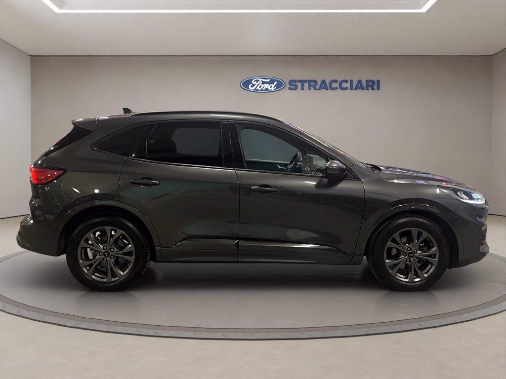 FORD Kuga 1.5 ecoblue ST-Line 2wd 120cv auto del 2024