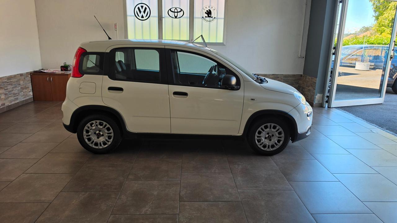 Fiat Panda Hybrid Firefly 69cv