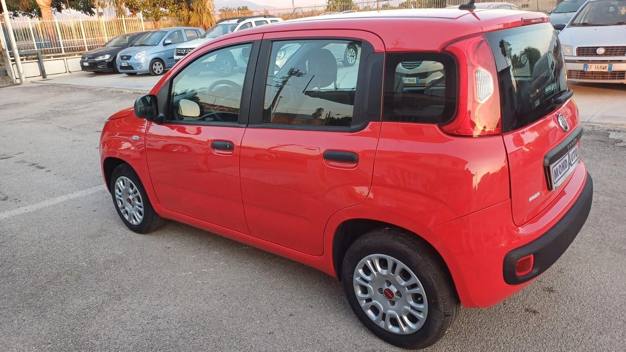 Fiat Panda 1.2 Easy 2020 62MILA KM COME NUOVA