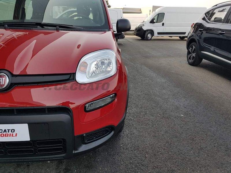 FIAT Panda My24 1.0 Hybrid 70cv