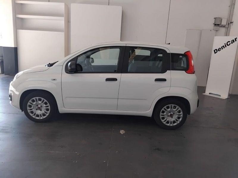 FIAT Panda Panda 1.0 FireFly S&S Hybrid