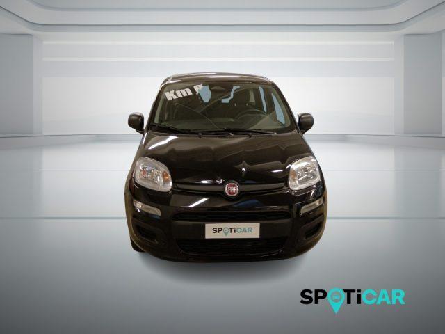 FIAT Panda 1.0 FireFly S&S Hybrid Icon