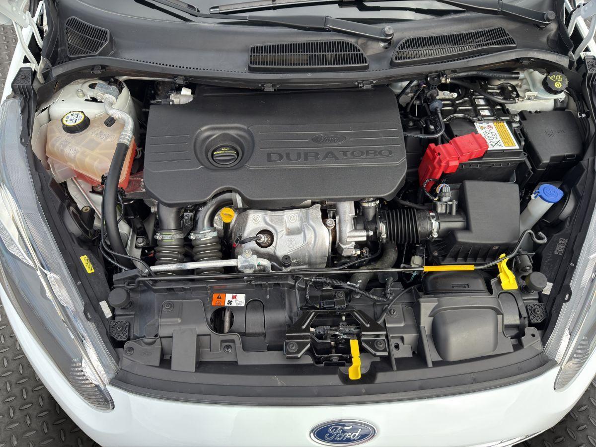 FORD - Fiesta - 1.5 TDCi 75 CV 5p. Black & White Edition