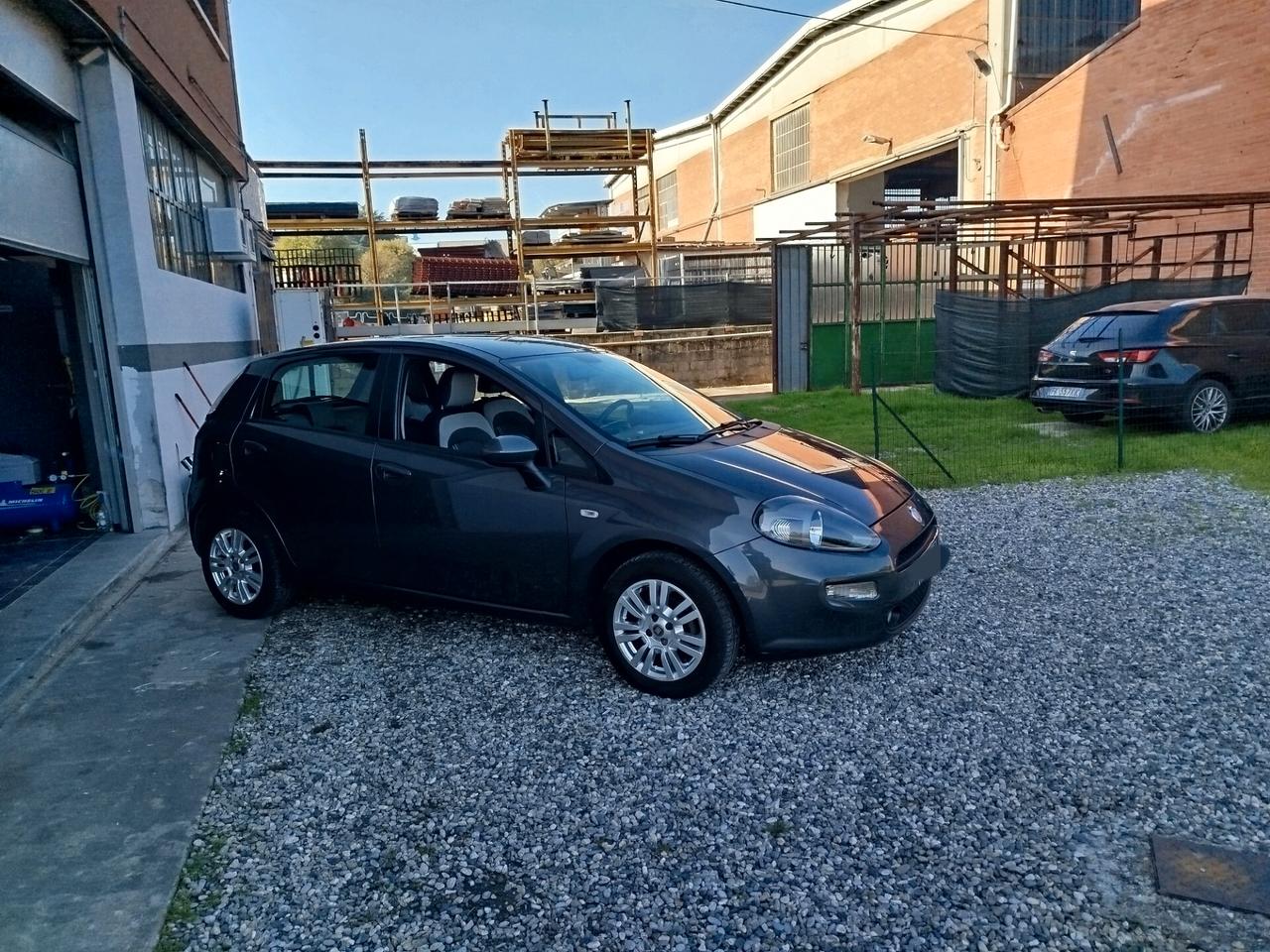 Fiat Punto Evo Punto Evo 1.2 5 porte