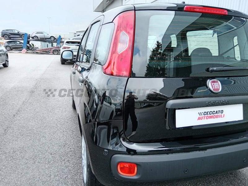 FIAT Panda Panda 1.0 firefly hybrid s&s 70cv