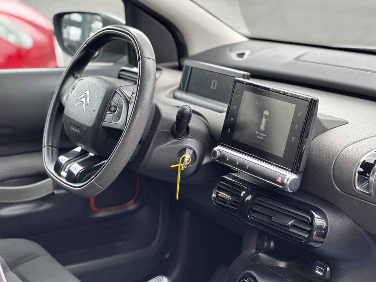 Citroen C4 Cactus BlueHDi 100 Rip Curl