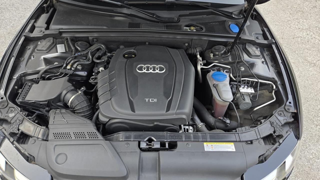 Audi A5 SPB 2.0 TDI 177 CV Quattro Business Plus 4
