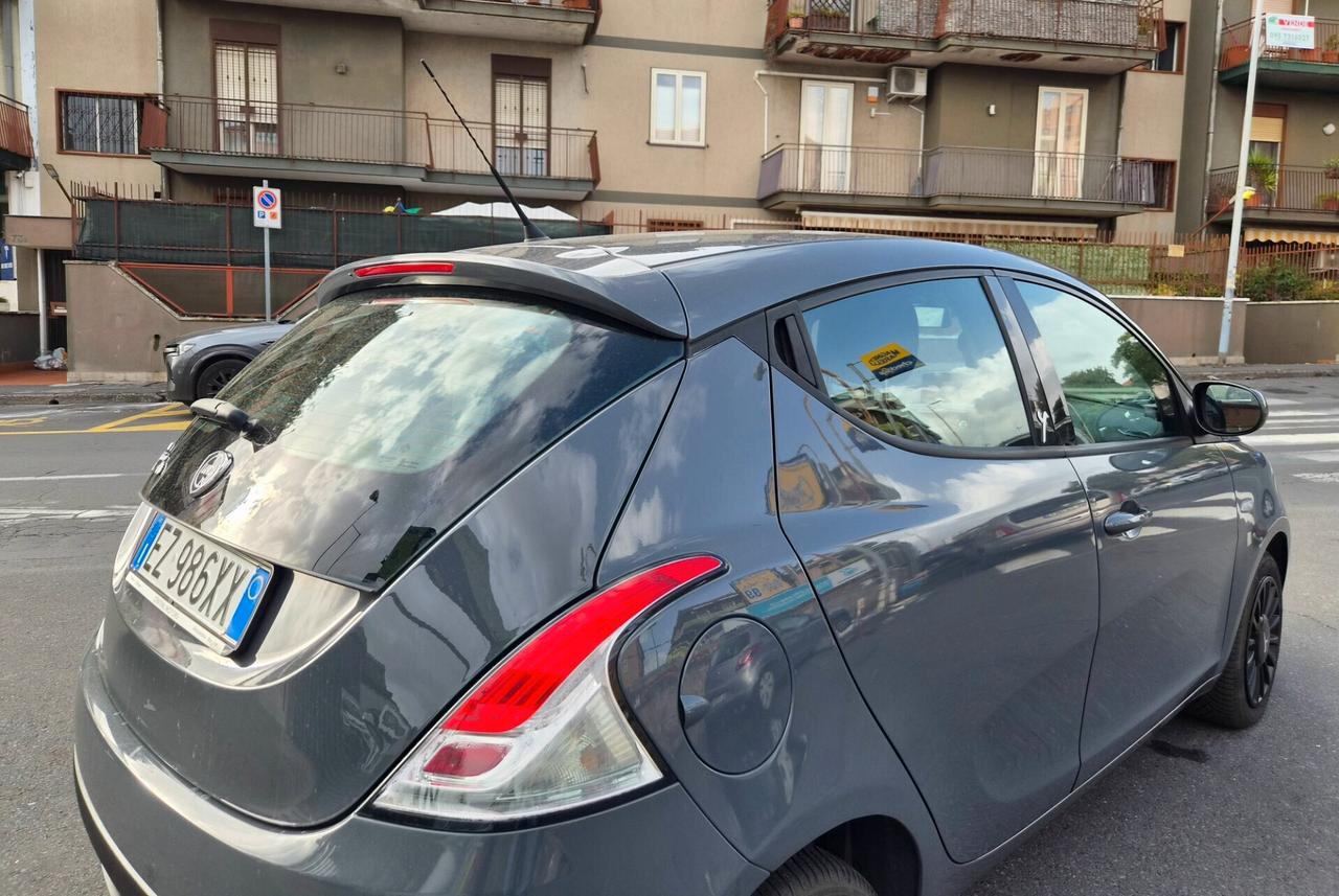 Lancia Ypsilon 1.3 MJT 16V 95 CV 5 porte S&S Elle