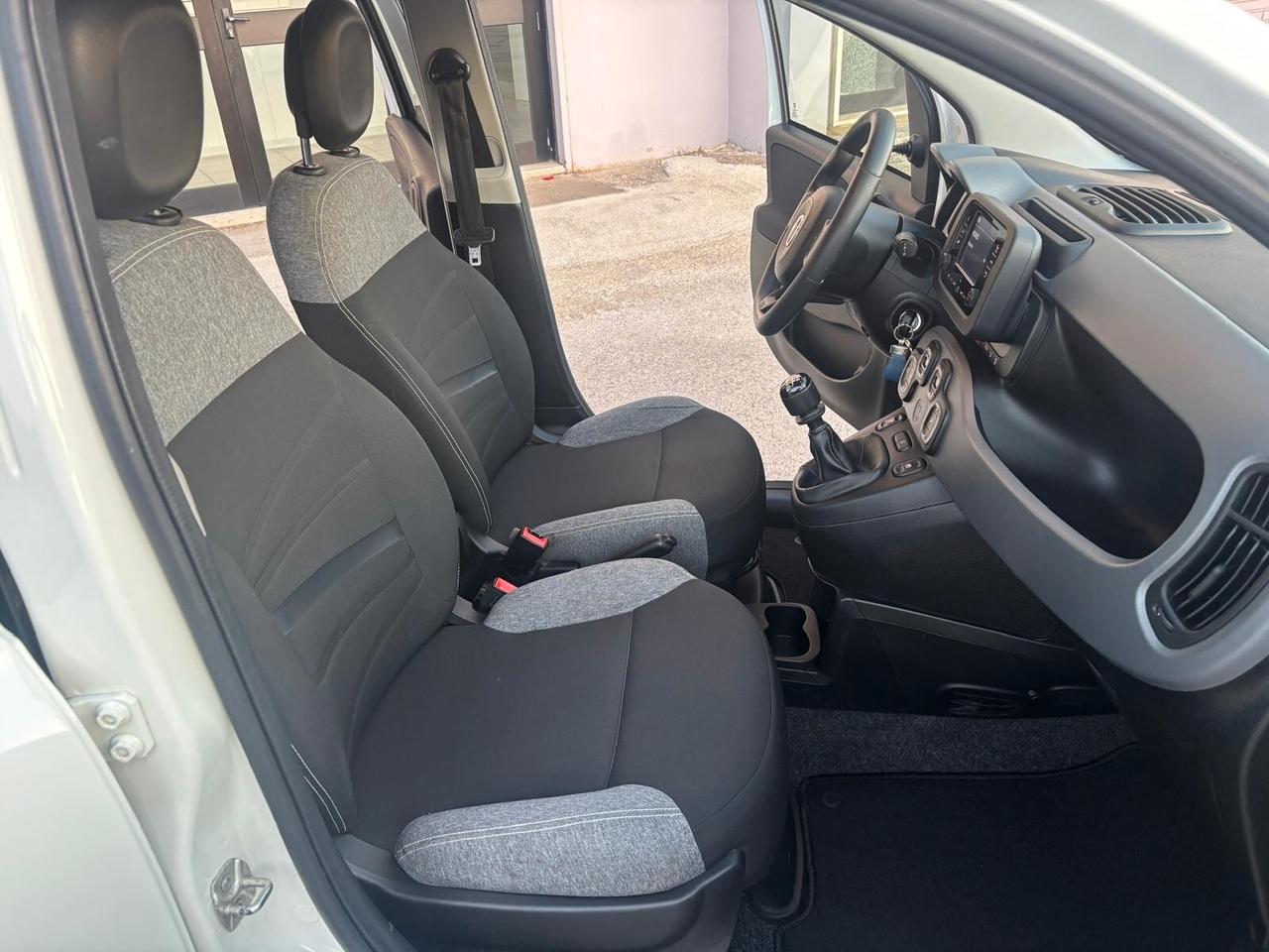Fiat Panda 1.0 FireFly S&S Hybrid City Life 2023