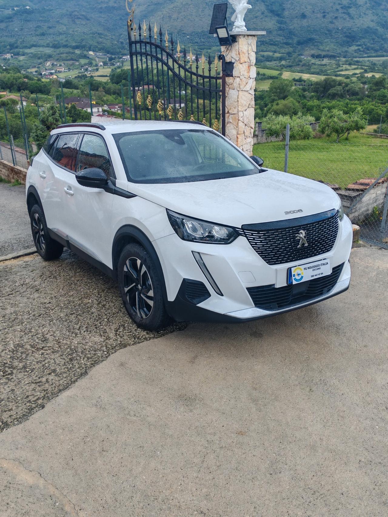 Peugeot 2008 PureTech 100 S&S