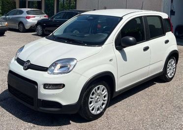 Fiat Panda 1.0 FireFly S&S Hybrid AUTO A NOLEGGIO