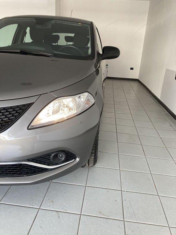 Lancia Ypsilon Ypsilon 1.2 69 CV 5 porte Platinum
