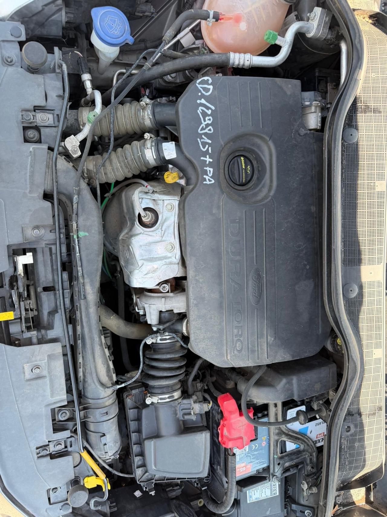 Ford Fiesta 1.5 TDCi 5 porte Plus