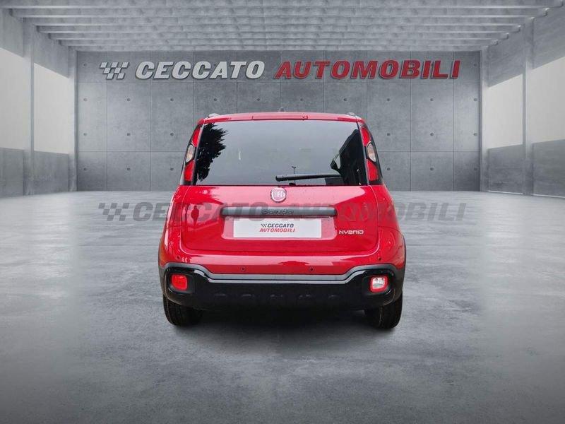 FIAT Panda Panda My25 1.0 70cv Hybrid Pandina