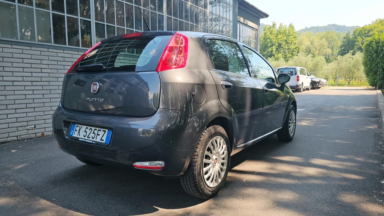 Fiat Punto 1.2 8V 5 porte Street SOLO 19.700 KM!!!!