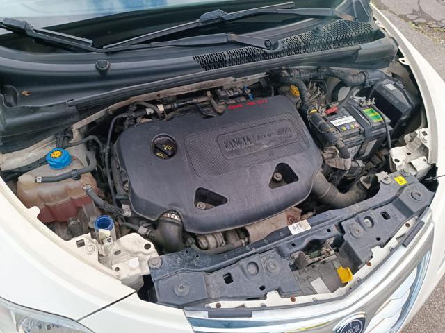 LANCIA Ypsilon 0.9 TwinAir 85 CV 5 porte Metano Ecochic Elefantin