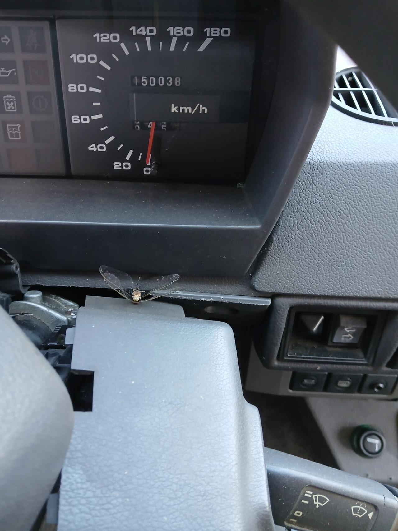 Land Rover Range 3500 v8