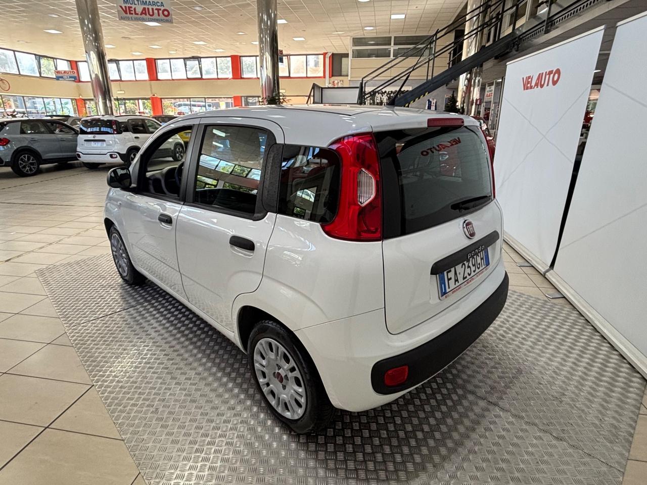 Fiat Panda 1.2 Easy Van 4 posti