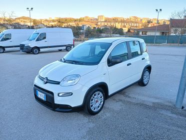 Fiat Panda 1.0 HYBRID 70CV 2023 CITY LIFE