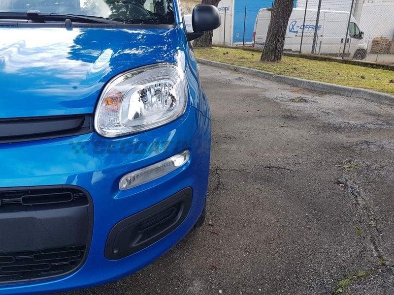 FIAT Panda Panda 1.0 firefly hybrid s&s 70cv