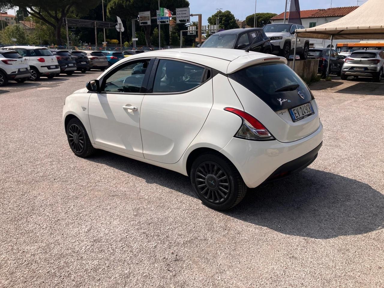 LANCIA YPSILON 1.2 69cv 5 Porte Elefantino