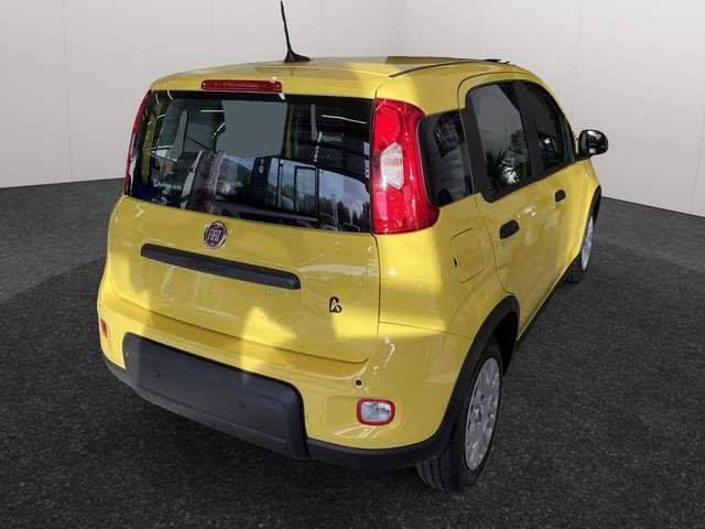 Fiat Panda 1.0 firefly hybrid Pandina *KM0*