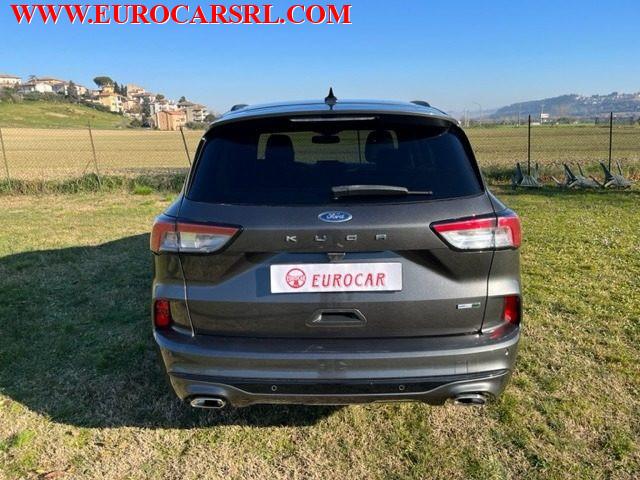 FORD Kuga 2.0 EcoBlue Hybrid 150 CV 2WD ST-Line