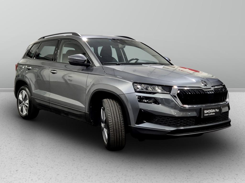 Skoda Karoq 2.0 tdi evo Executive 115cv dsg