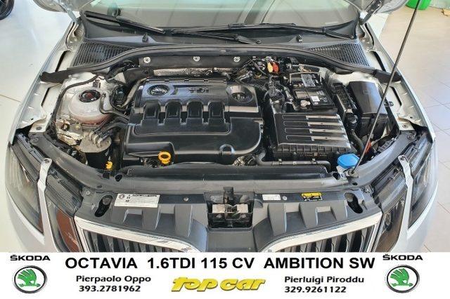 SKODA Octavia 1.6 TDI 115 CV Ambition AZIENDALE