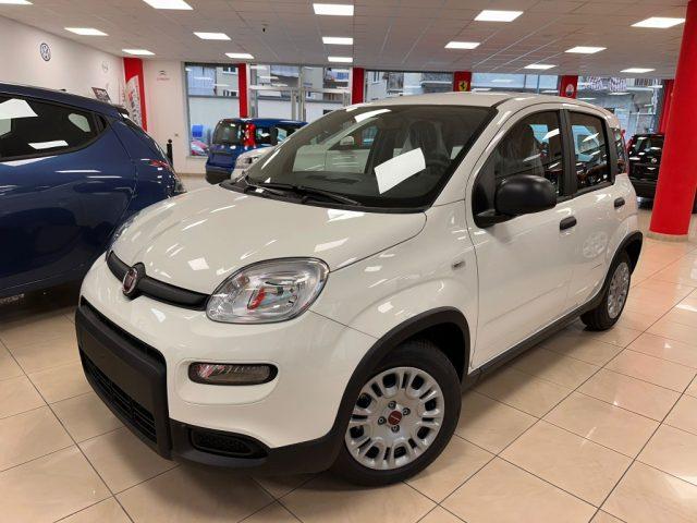 FIAT Panda 1.0 Hybrid PROMO CAR SERENITY