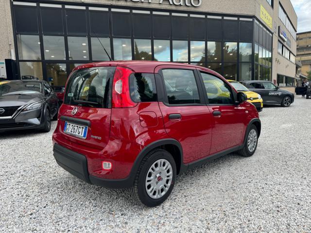 FIAT Panda 1.0 FireFly Hybrid 70cv S&S MT6 - KmZero