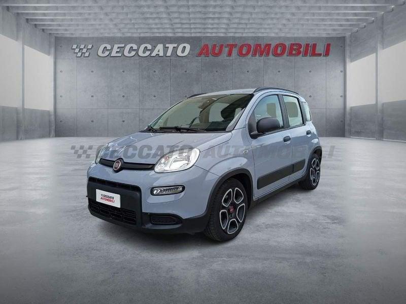 FIAT Panda Panda 1.0 firefly hybrid City Life s&s 70cv 5p.ti