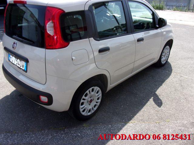 FIAT Panda 1.2 Easy BENZINA EURO 6 CON FINANZIAMENTO
