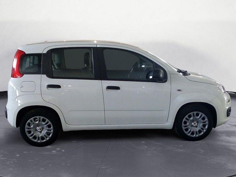 FIAT Panda NEW My25 1.0 70cv Hybrid Panda