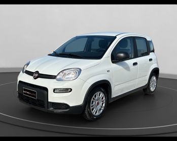 FIAT Panda III 2021 - Panda 1.0 firefly hybrid s&s 70cv