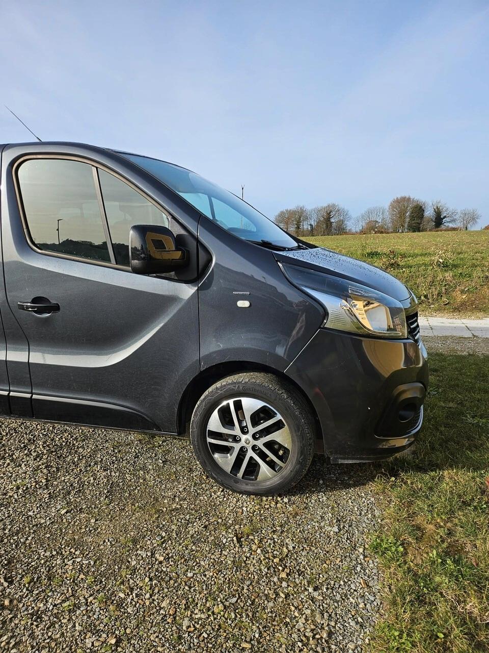 Renault Trafic INTERNI IN PELLE
