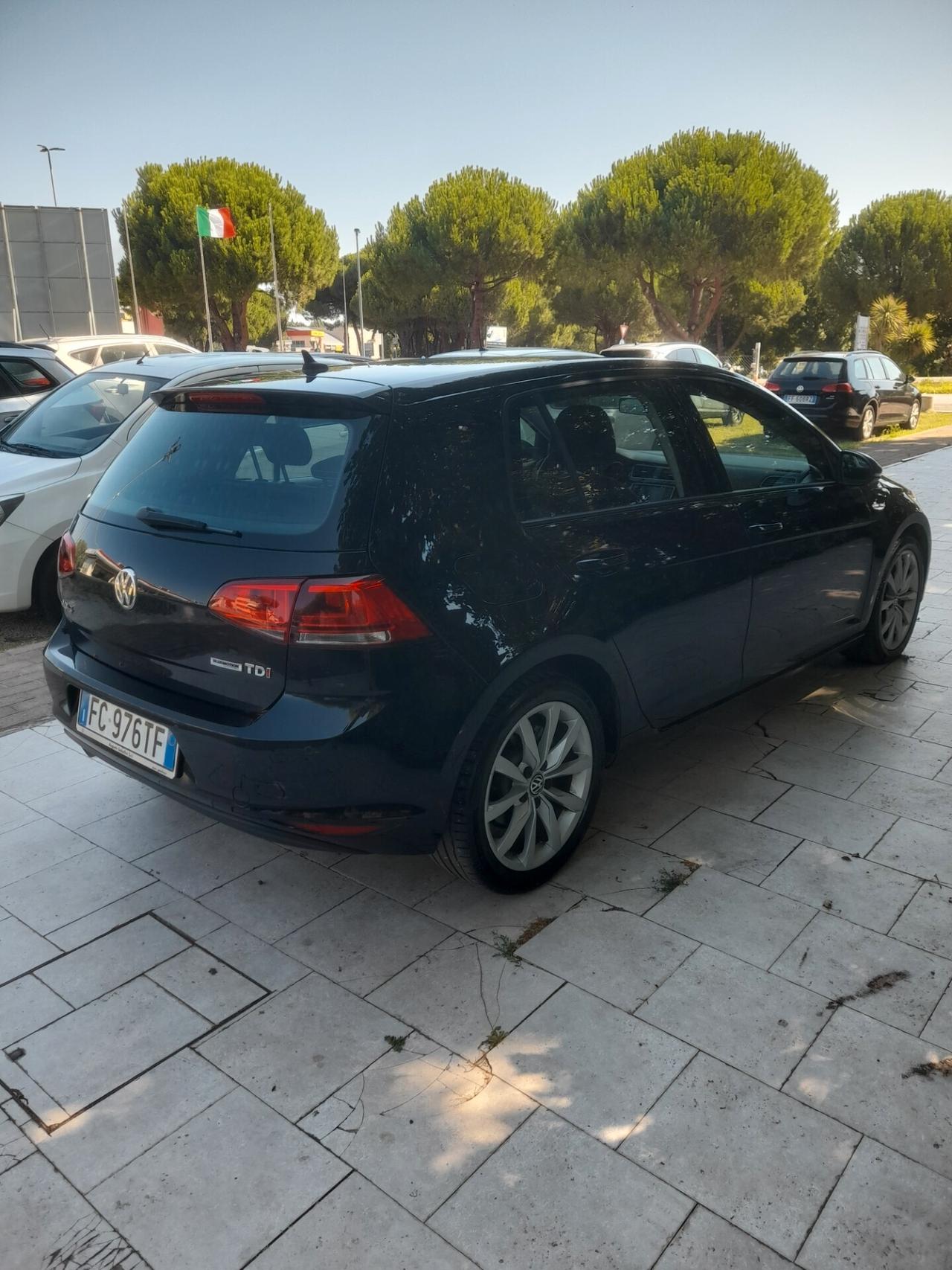 Volkswagen Golf 1.6 TDI 110 CV 5p. Highline