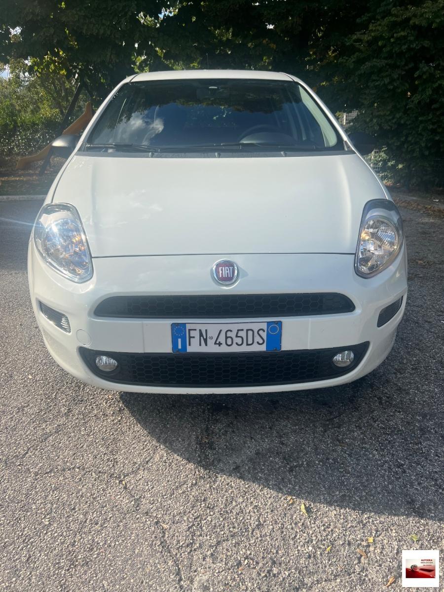 FIAT - Punto - 1.3 MJT II S&S 95 CV 5p. Street
