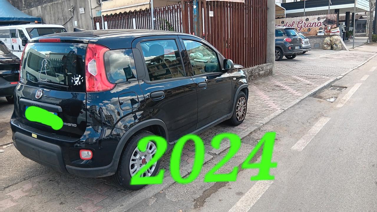 Fiat New Panda incidentata sinistrata mondialcars 024