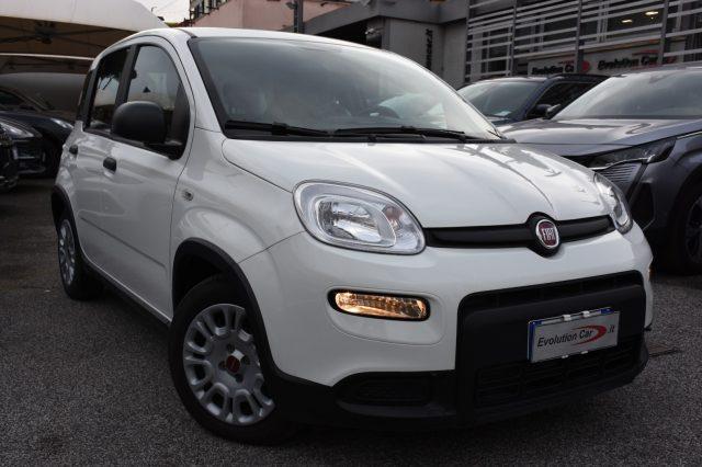 FIAT Panda 1.0 FireFly S&S Hybrid **5 POSTI**3949km!!**