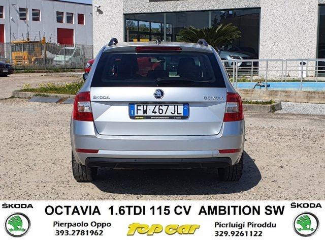 SKODA Octavia 1.6 TDI 115 CV Ambition AZIENDALE