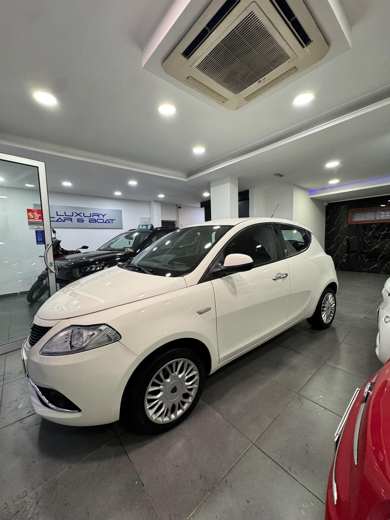 Lancia Ypsilon 1.3 MJT 16V 95 CV 5 porte S&S Platinum
