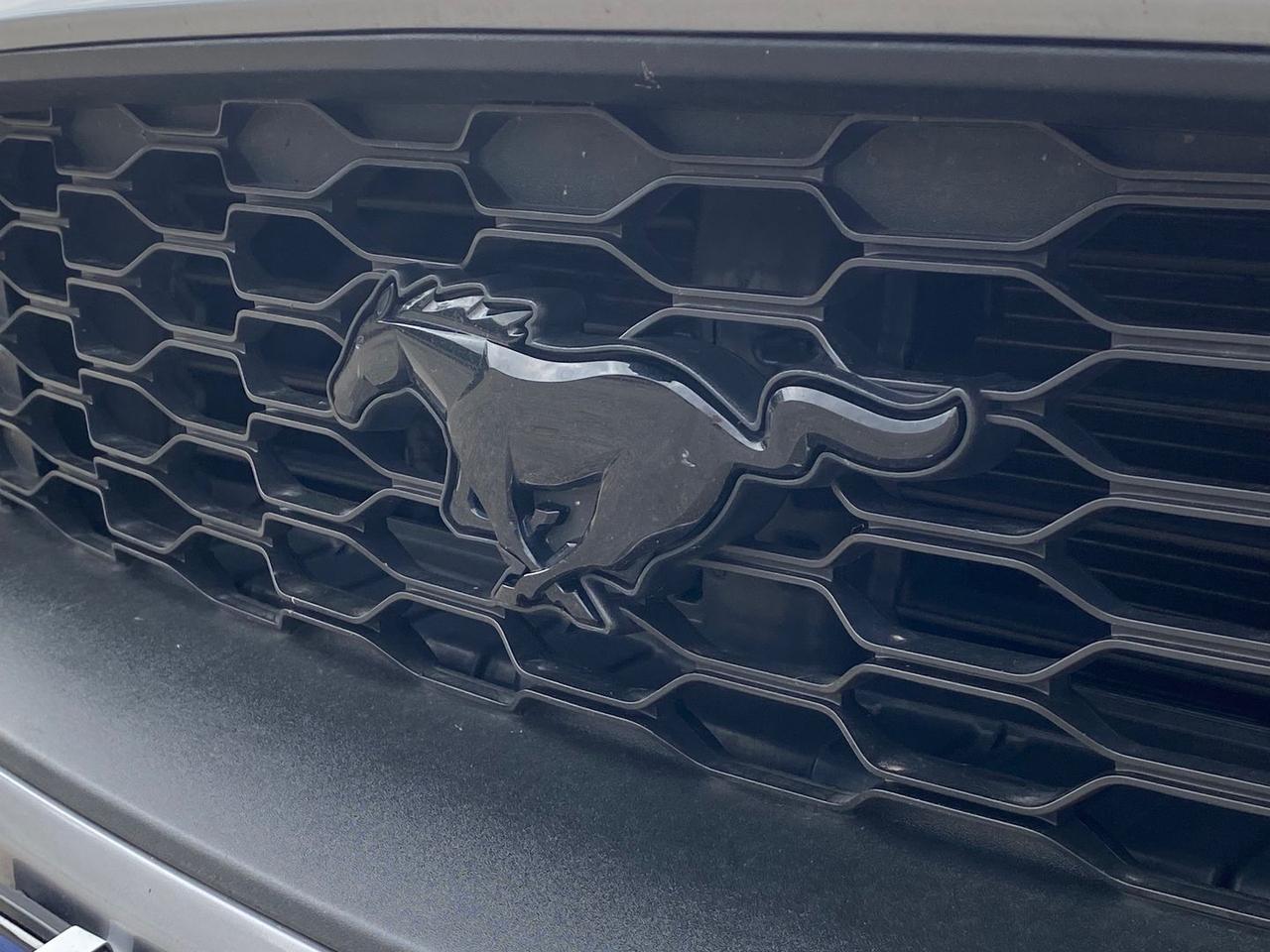 Ford Mustang 2.3 EcoBoost #7958